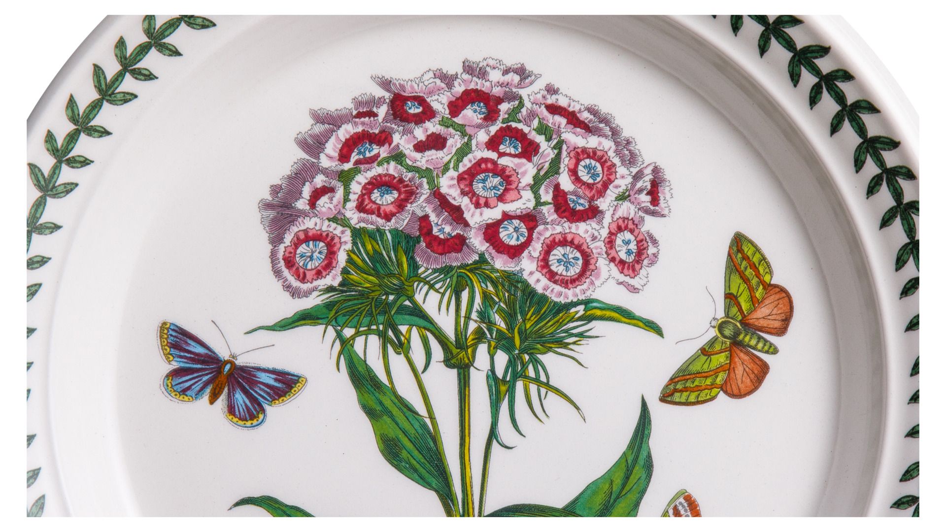 Тарелка для пасты Portmeirion Botanic Garden Sweet William BG45740-22