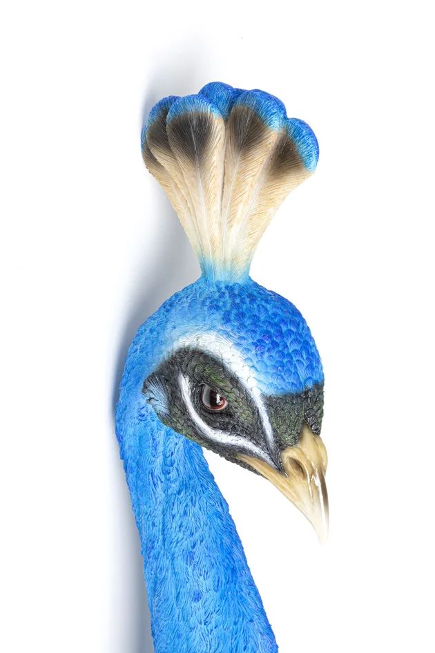 Панно настенное KARE Wandschmuck Peacock 51793