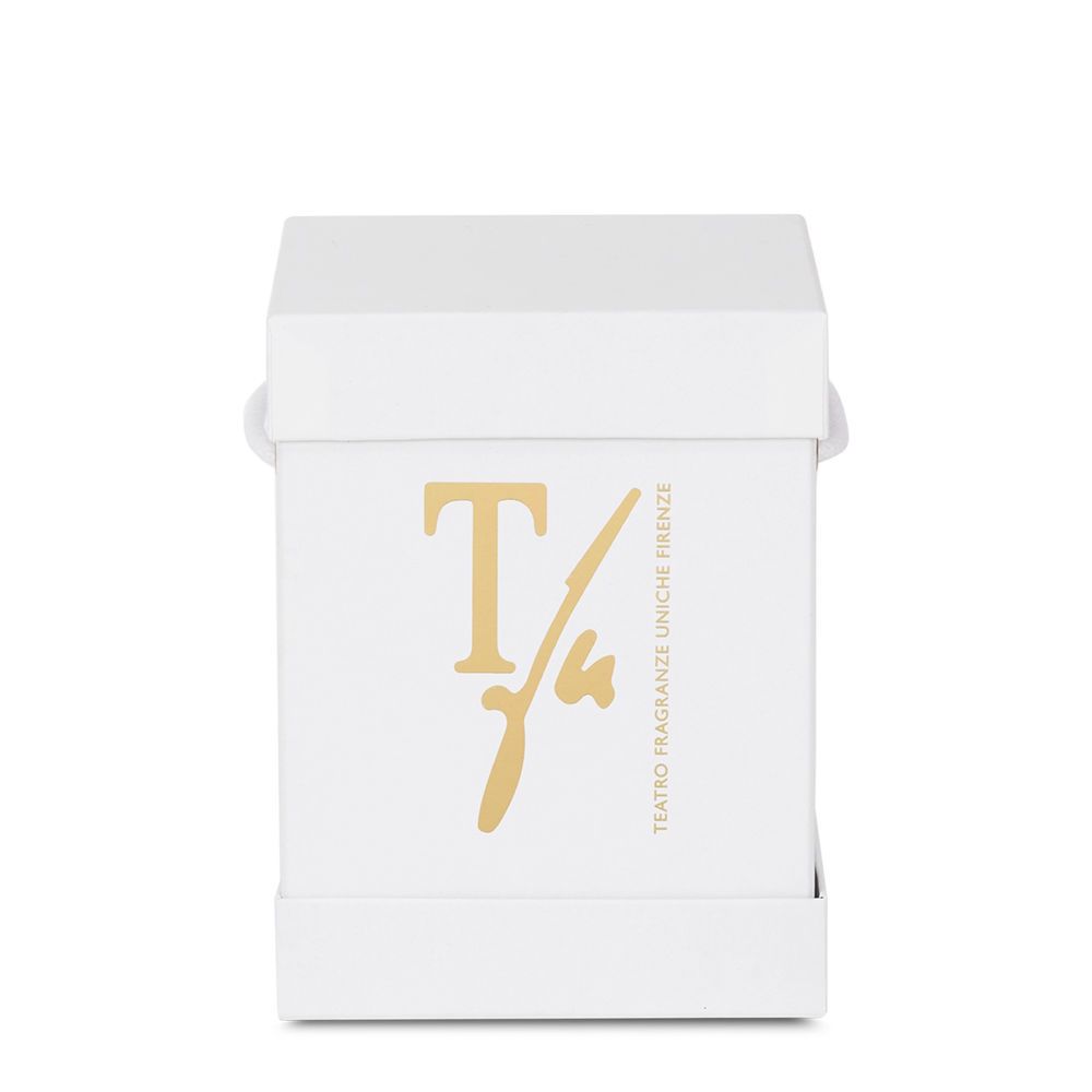 Ароматическая свеча Teatro Fragranze Uniche Nero Divino Scented Candle CAND-ND750TFU