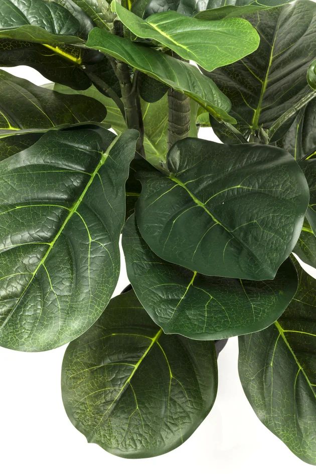 Искусственное растение KARE Deko Pflanze Fiddle Leaf 60723
