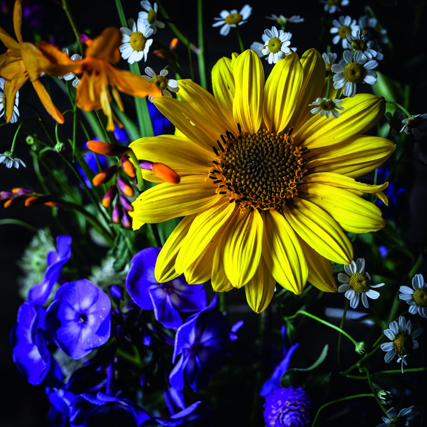 Ваза Nachtmann Carré Vase 83736