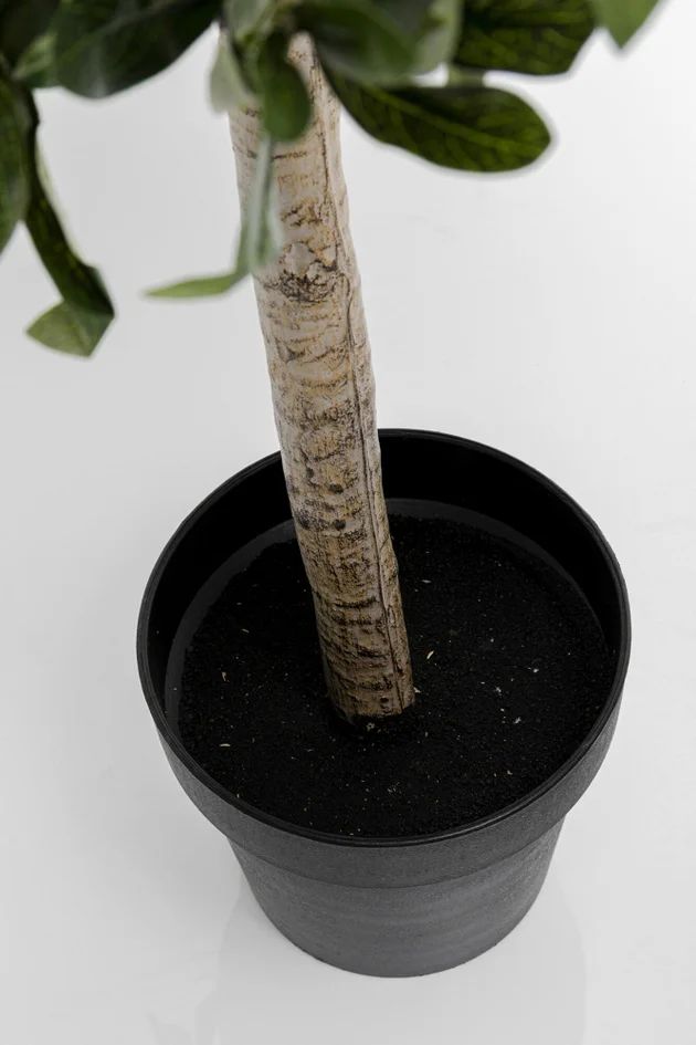 Искусственное растение KARE Deko Pflanze Olive Tree 54933