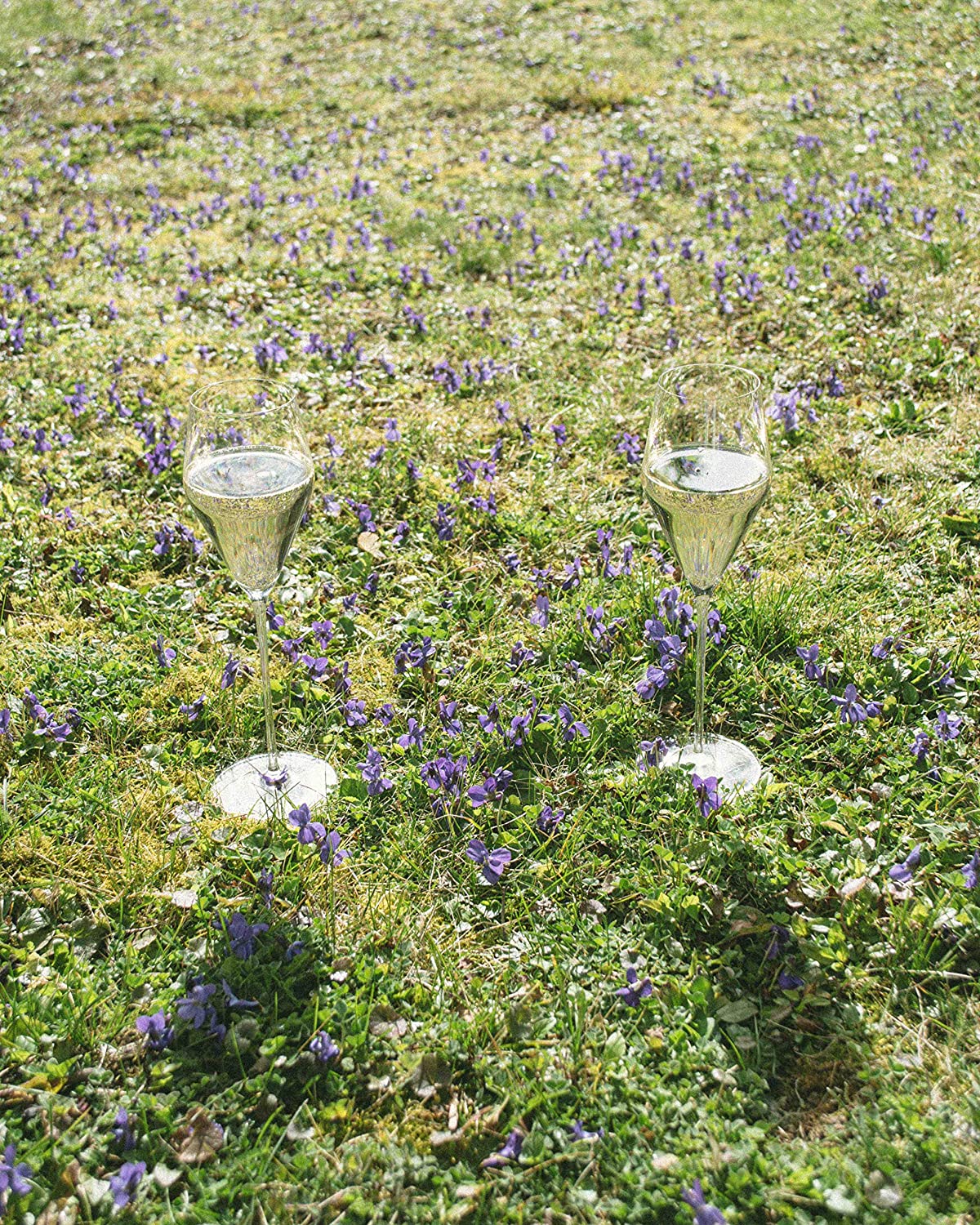 2 бокала для шампанского Zalto Denk'Art Champagne Set 11552