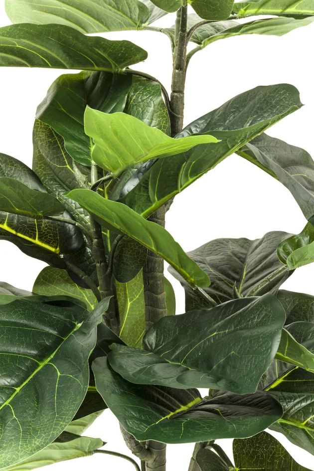Искусственное растение KARE Deko Pflanze Fiddle Leaf 60723
