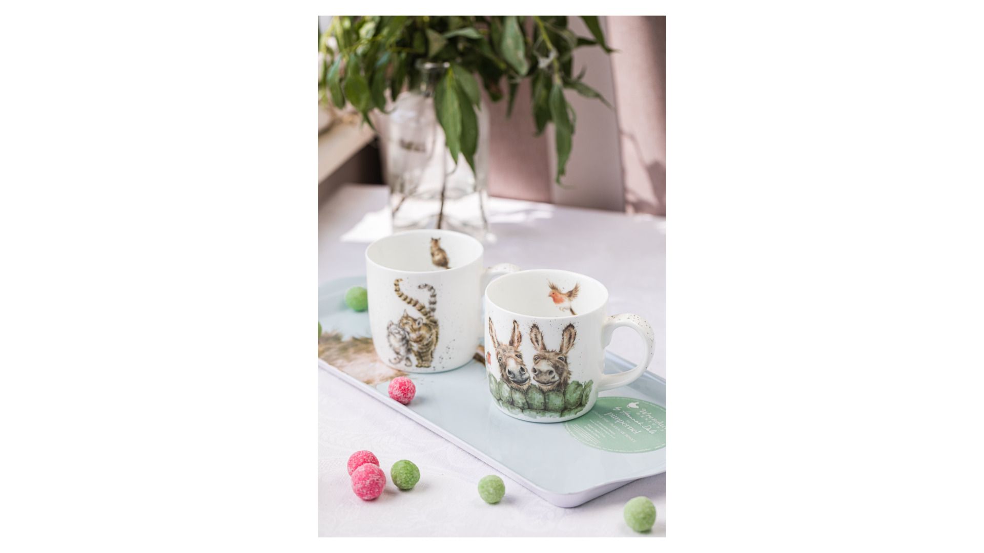 Кружка Royal Worcester Wrendale Designs Donkeys Mug MMTA5629-XT-1