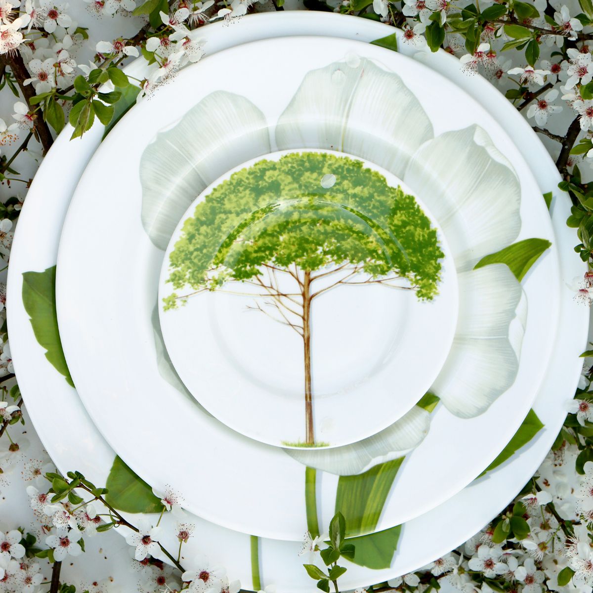 Тарелка десертная Taitù Freedom Piattino 1-83-B