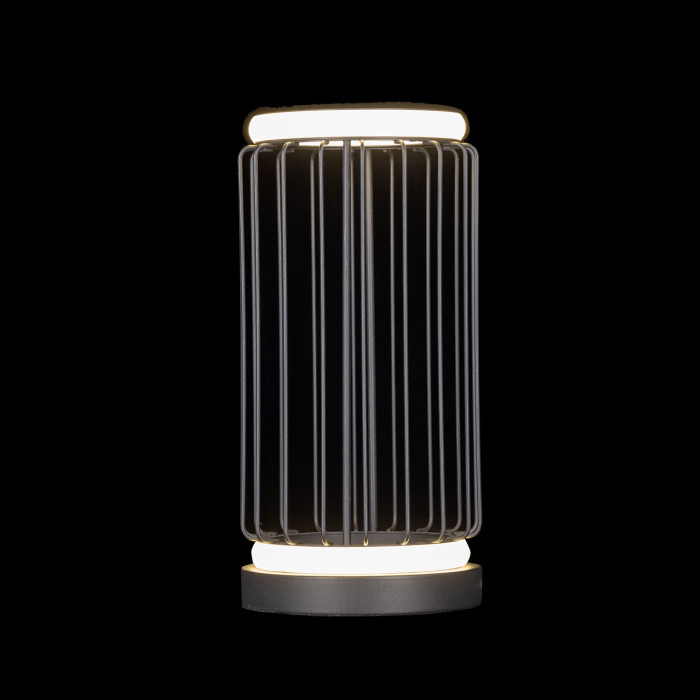 Настольная лампа De Markt Eisfeld Reading Lamp 655031001