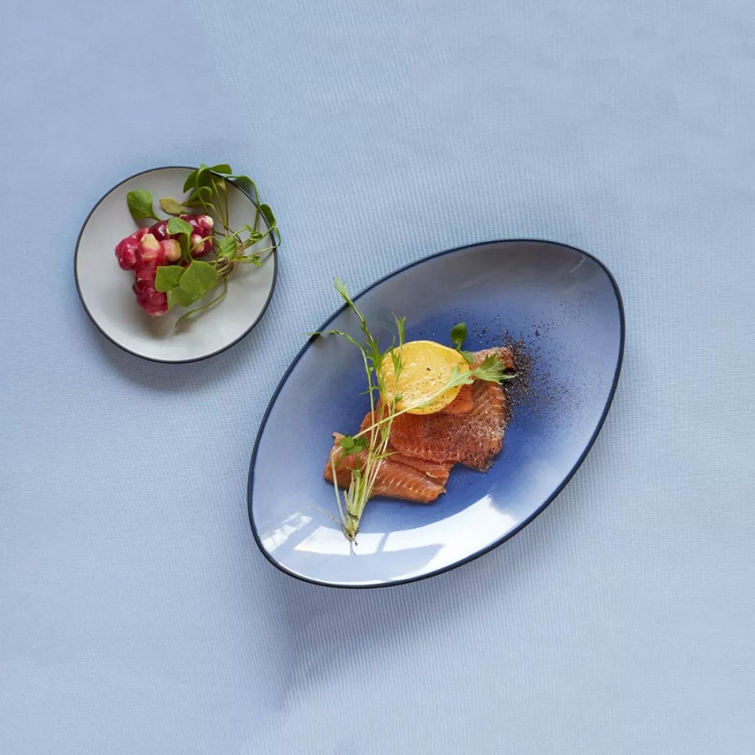 Блюдо для сервировки Revol Equinoxe Blue 649556