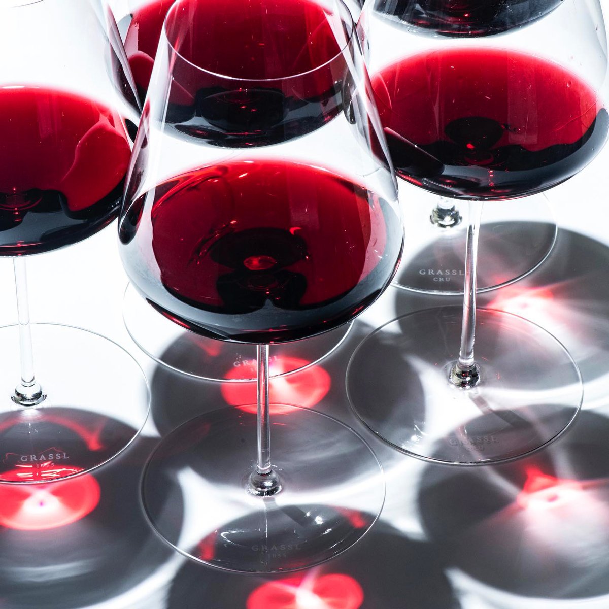 Сумка с бокалами Grassl Voyage+ Travel Case