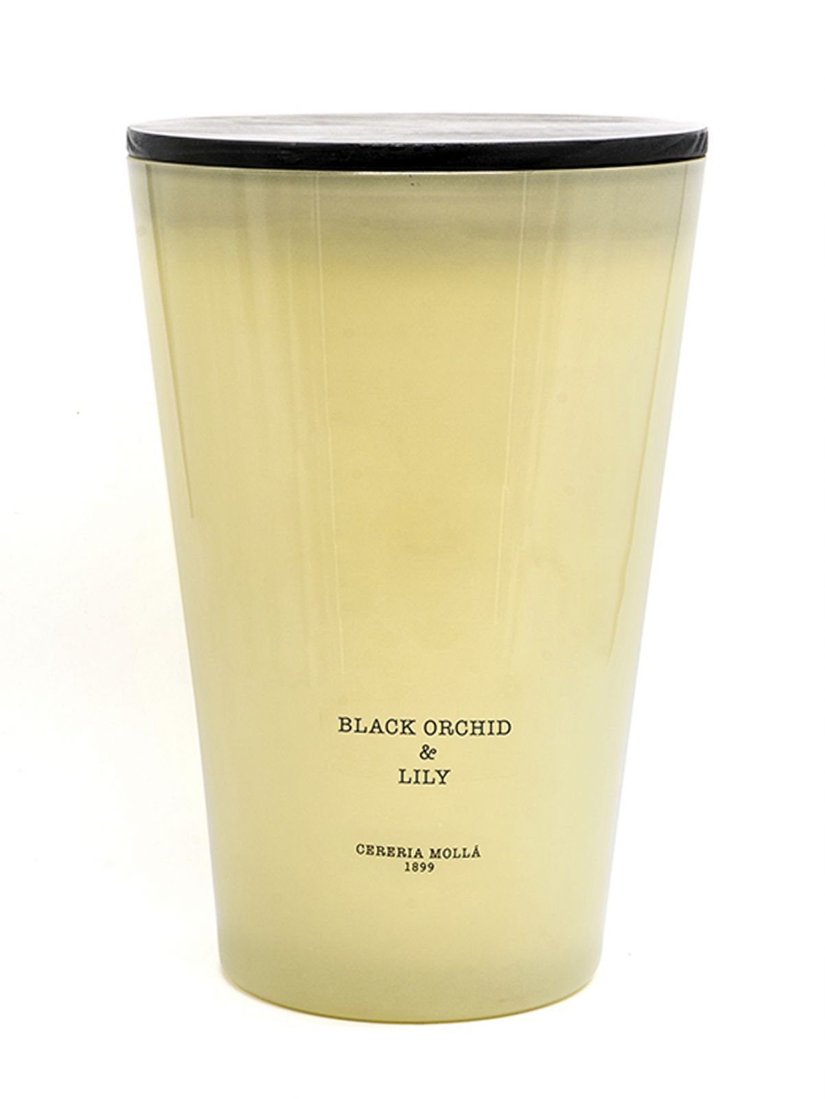 Ароматическая свеча Cerería Mollá 1899 Boutique Black Orchid & Lily 3XL Scented Candle X5004
