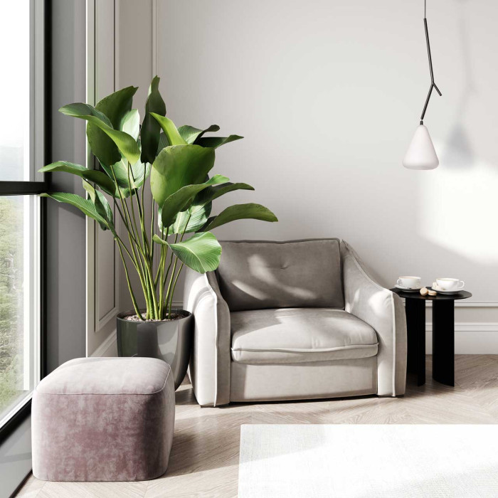 Подвесной светильник MW-Light Shine Pendant Lamp 107010701