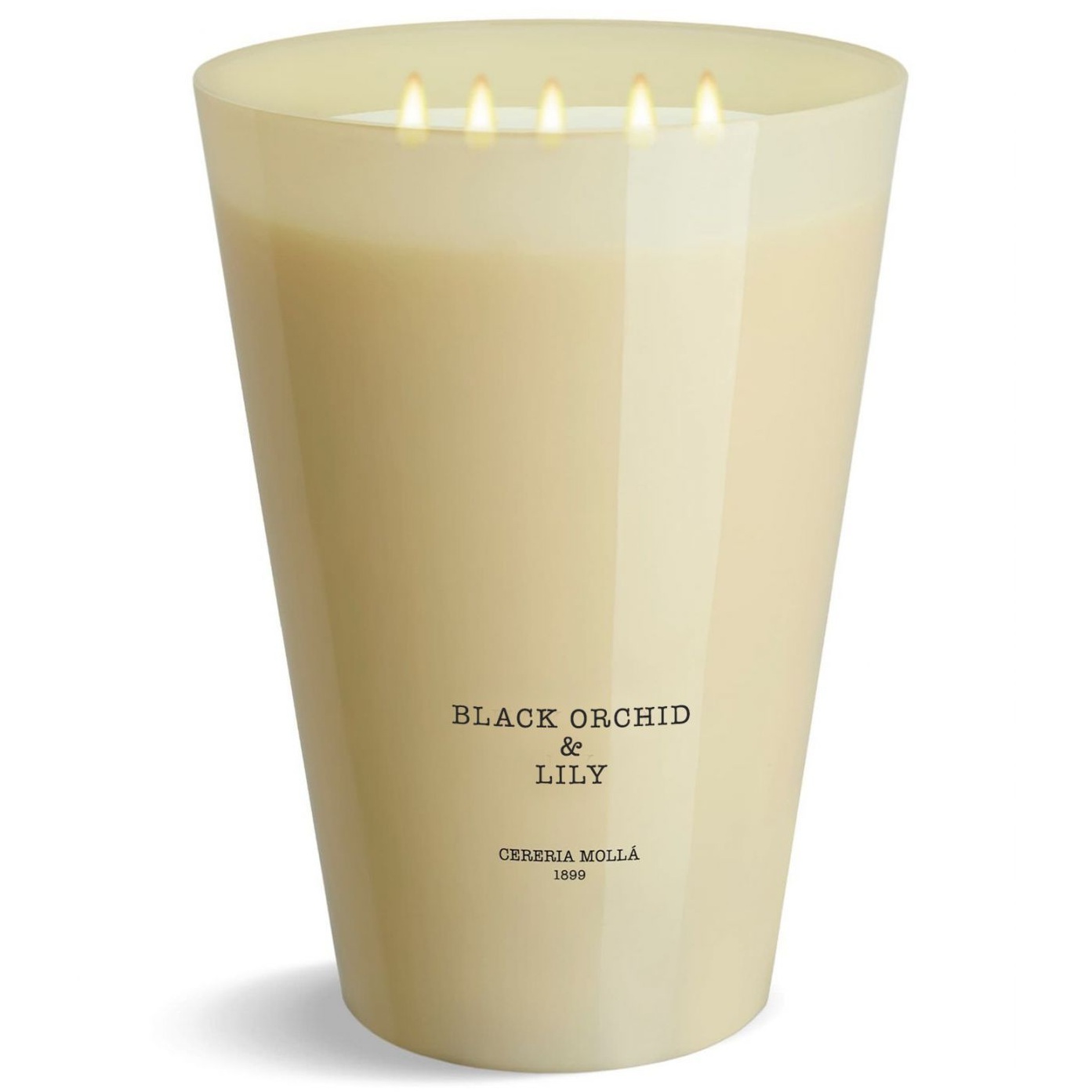 Ароматическая свеча Cerería Mollá 1899 Boutique Black Orchid & Lily 3XL Scented Candle X5004