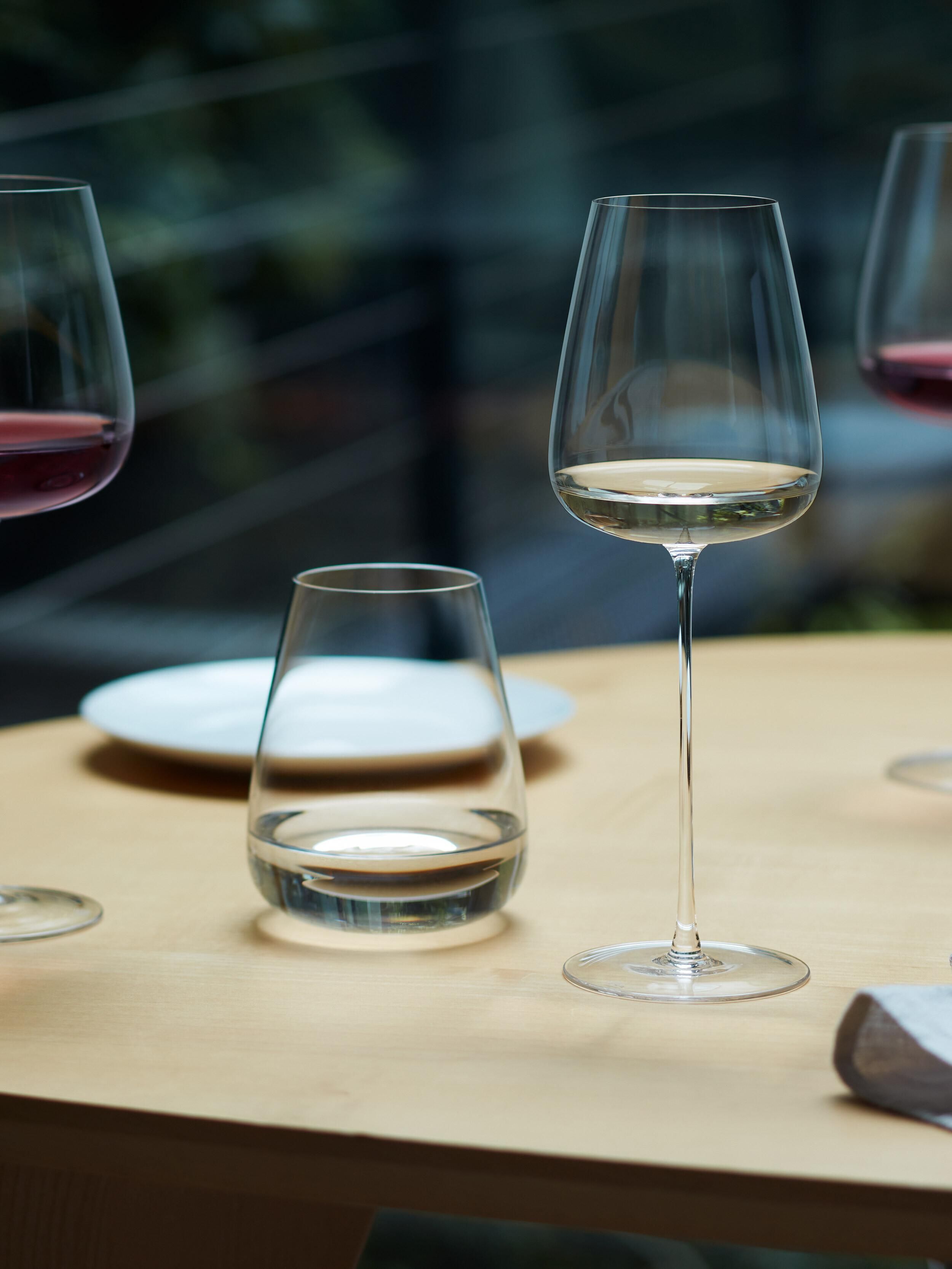 2 бокала для белого вина LSA International Wine Culture White Wine Glass Set G1427-18-191