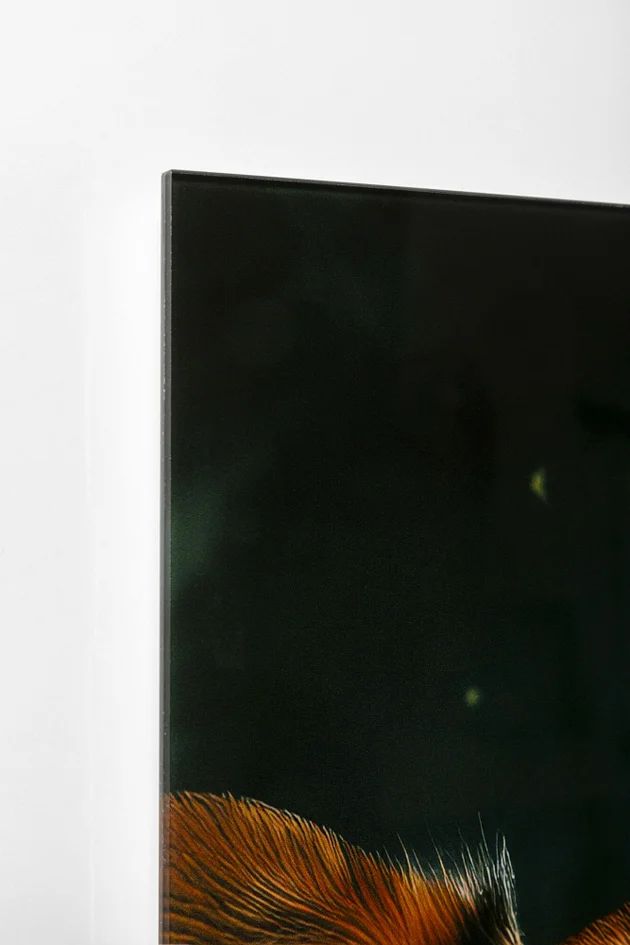 Картина KARE Glasbild Astronauts Dogs 56276