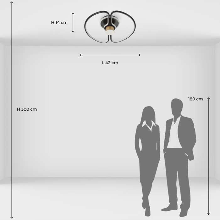 Потолочный светильник De Markt Toledo Ceiling Lamp 312012501