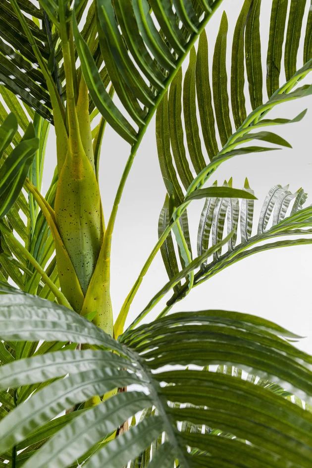 Искусственное растение KARE Deko Pflanze Palm Tree 51789