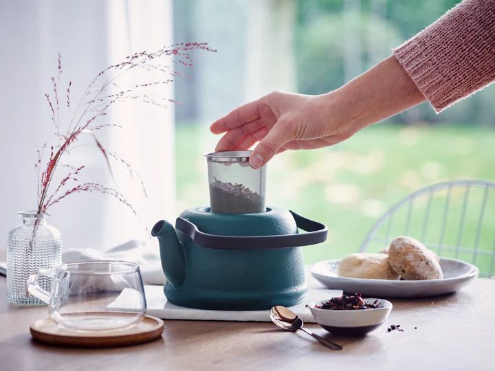 Заварочный чайник Beka Junna Forest teakettle 16409334