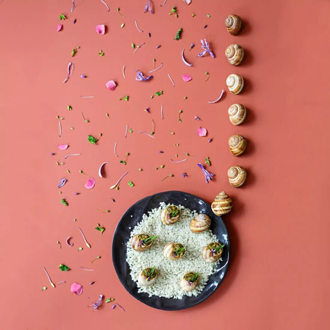 Тарелка обеденная Revol Succession Black 650729