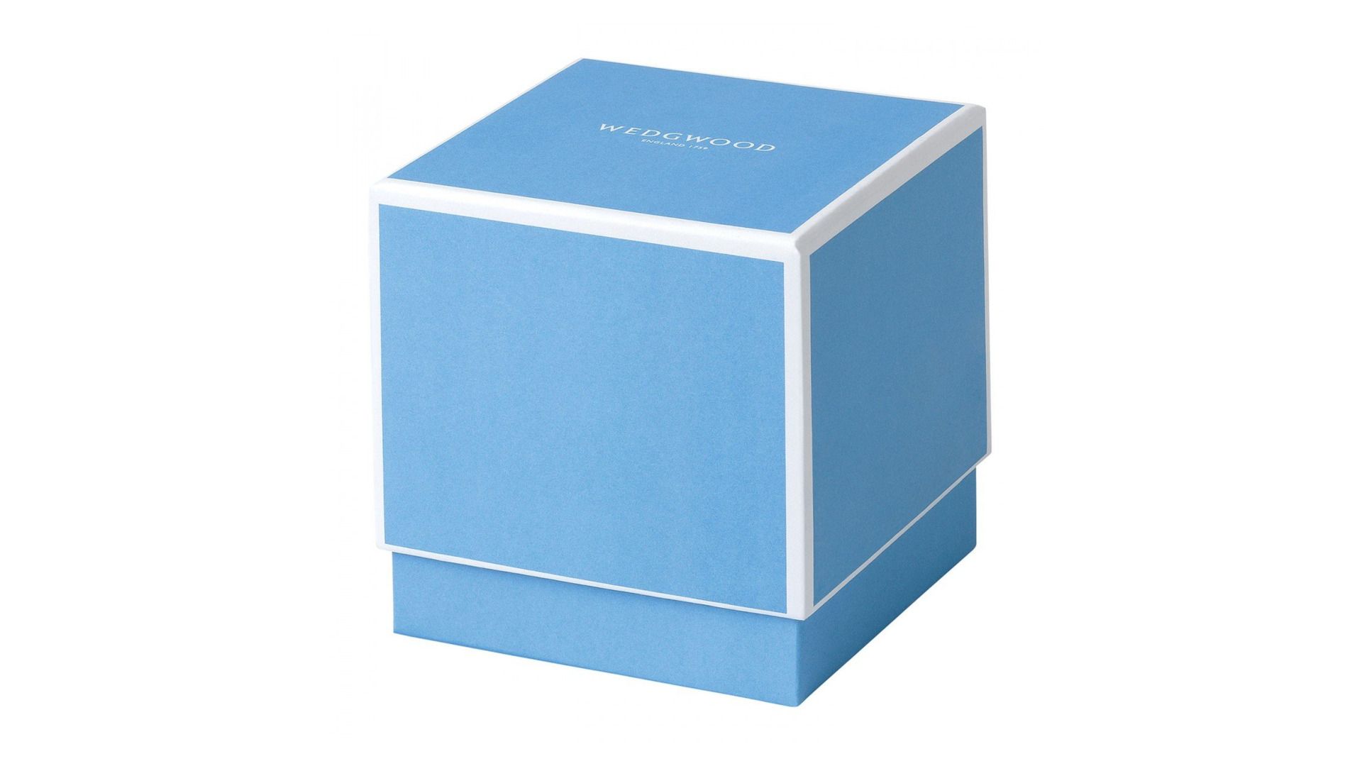 Кружка Wedgwood Paeonia Blush Green Mug 40032117