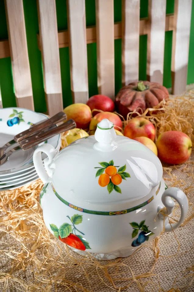 Обеденный сервиз Leander Mary-Anne Ovoce 03162011-080H