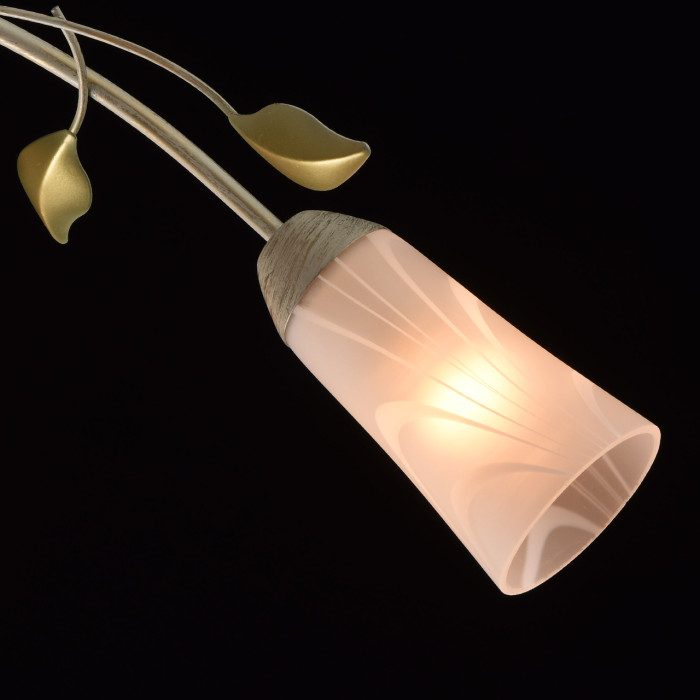 Люстра потолочная MW-Light Delight Ceiling Chandelier 242015306