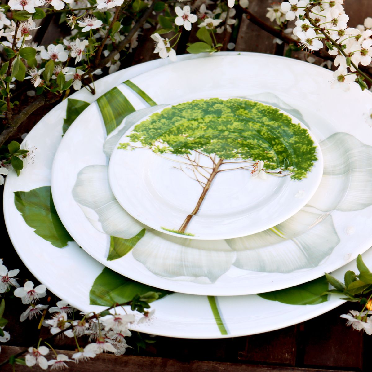 Тарелка десертная Taitù Freedom Piattino 1-83-C