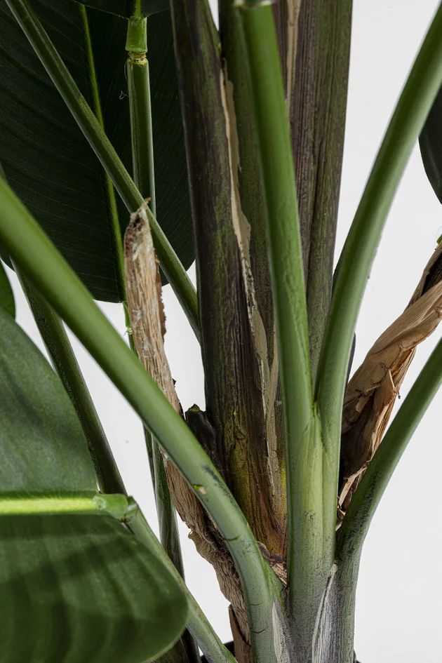 Искусственное растение KARE Deko Pflanze Paradise Flowers 51684