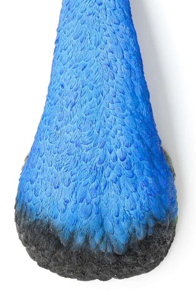 Панно настенное KARE Wandschmuck Peacock 51793