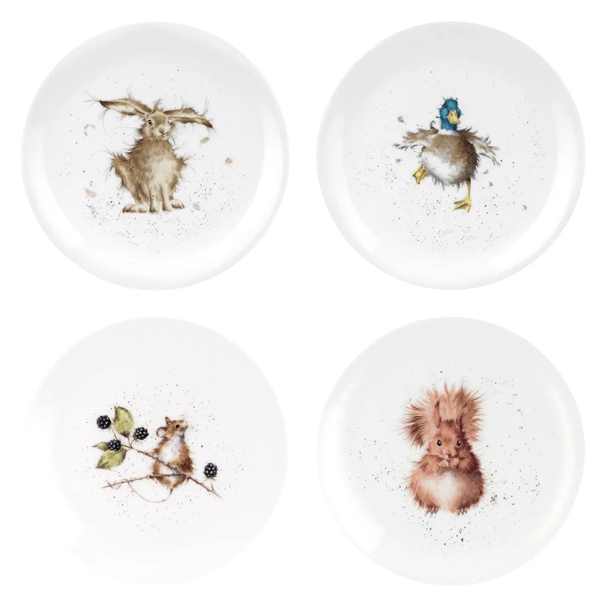 Тарелка десертная Royal Worcester Wrendale Designs Squirrel Coupe Plate WN5658-XB-Squirrel