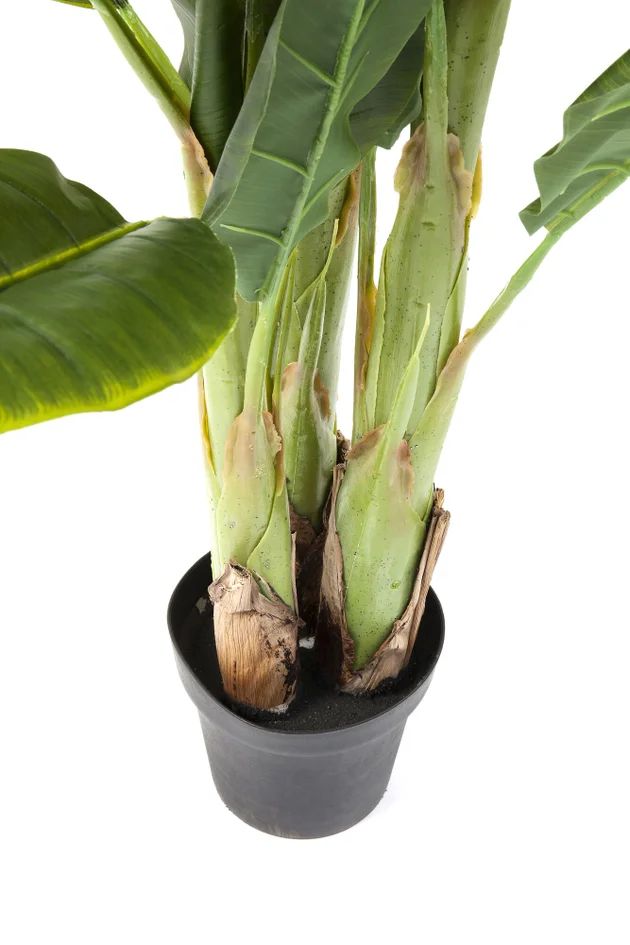 Искусственное растение KARE Deko Pflanze Banana Tree 64003