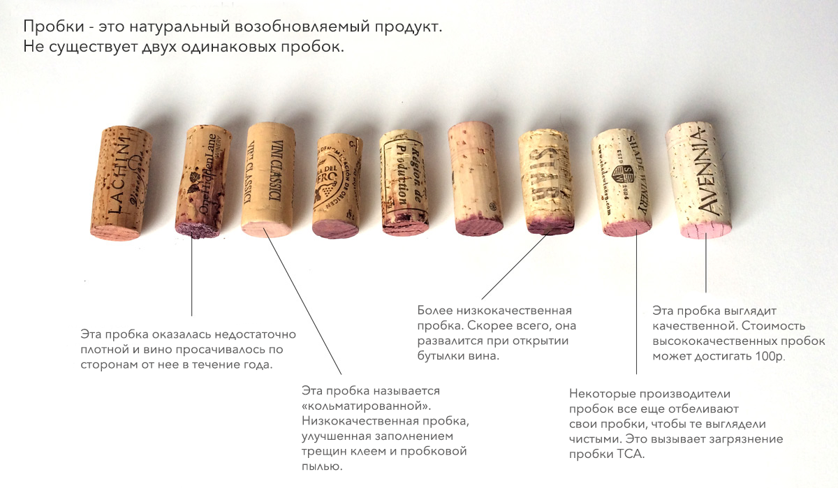 Объясняем, почему пробки важны при хранении вина