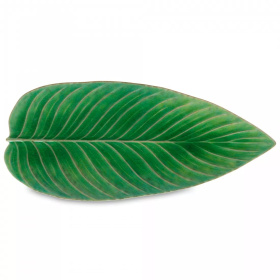 Блюдо-лист Costa Nova Riviera Strelizia Leaf VEA401-TMT