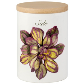 Банка для соли Nuova Cer Cactus Barattolo grande sale 5010/1-CAT