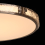 Потолочный светильник De Markt Reeves Ceiling Lamp 674017701. фото 9