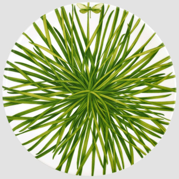 Блюдо сервировочное Taitù Life In Green Piatto da Portata Rotondo/Segnaposto 12-13-6