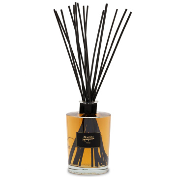 Ароматический диффузор Teatro Fragranze Uniche Speziato Fiorentino Transparent Diffuser SF3000VTRTFU