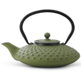 Чайник заварочный Bredemeijer Xilin Green G001GR