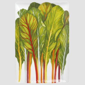 Блюдо сервировочное Taitù Dieta Mediterranea Vegetables Erbette Portata Rettangolare 12-8-9