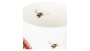 Кружка Royal Worcester Wrendale Designs Bees Mug MMQT5629-XT-1. фото 5