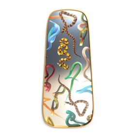 Зеркало Seletti Mirror Gold Frame Snakes 17050