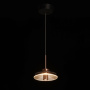Подвесной светильник De Markt Auxis Pendant Lamp 722013201. фото 2