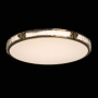 Потолочный светильник De Markt Reeves Ceiling Lamp 674017601. фото 2