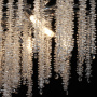 Люстра подвесная MW-Light Lima Hanging Chandelier 467013510. фото 8