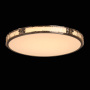 Потолочный светильник De Markt Reeves Ceiling Lamp 674017701. фото 5