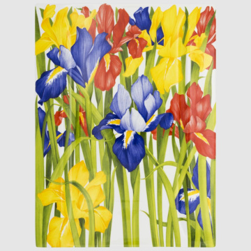 Блюдо сервировочное Taitù Giardini Portata Rettangolare 2-49