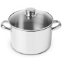 Кастрюля с крышкой Silampos Essential Glass Stockpot 63C122WG6622. фото 1