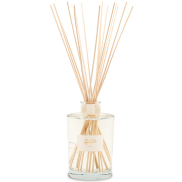 Ароматический диффузор Teatro Fragranze Uniche Bianco Divino Transparent Diffuser BD3000VTRTFU