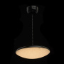 Подвесной светильник De Markt Peregrine Pendant Lamp 703011101. фото 2