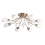 Люстра потолочная MW-Light Tenderness Ceiling Chandelier 356015308. фото 1