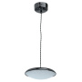 Подвесной светильник De Markt Peregrine Pendant Lamp 703011201. фото 1